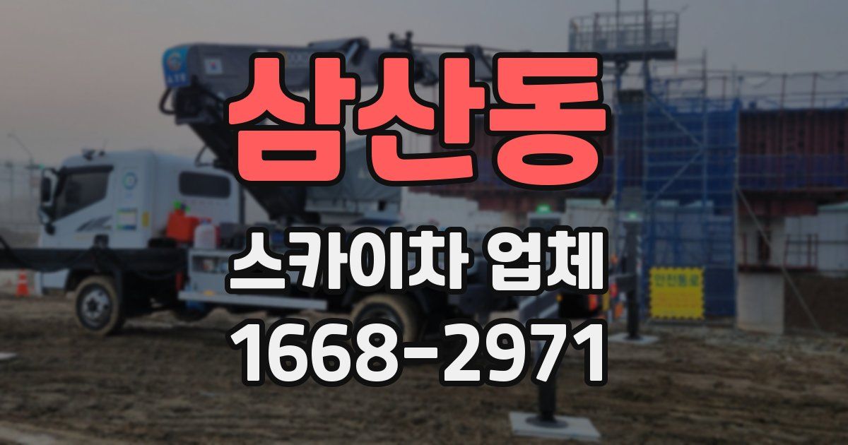 삼산동 스카이차 업체