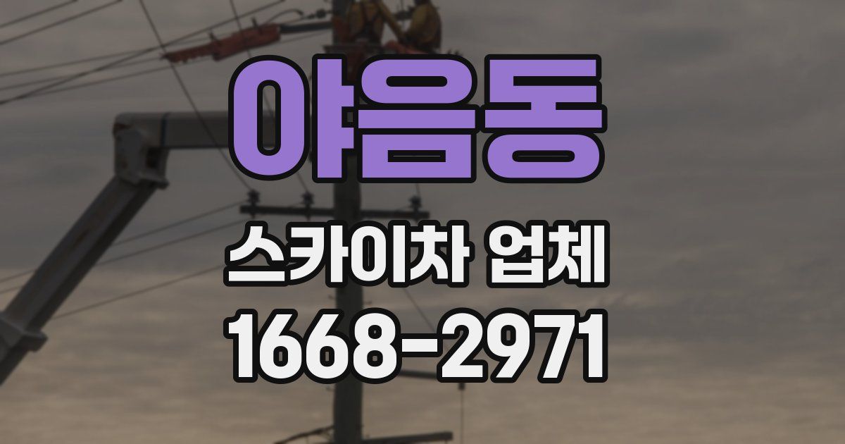 야음동 스카이차 업체