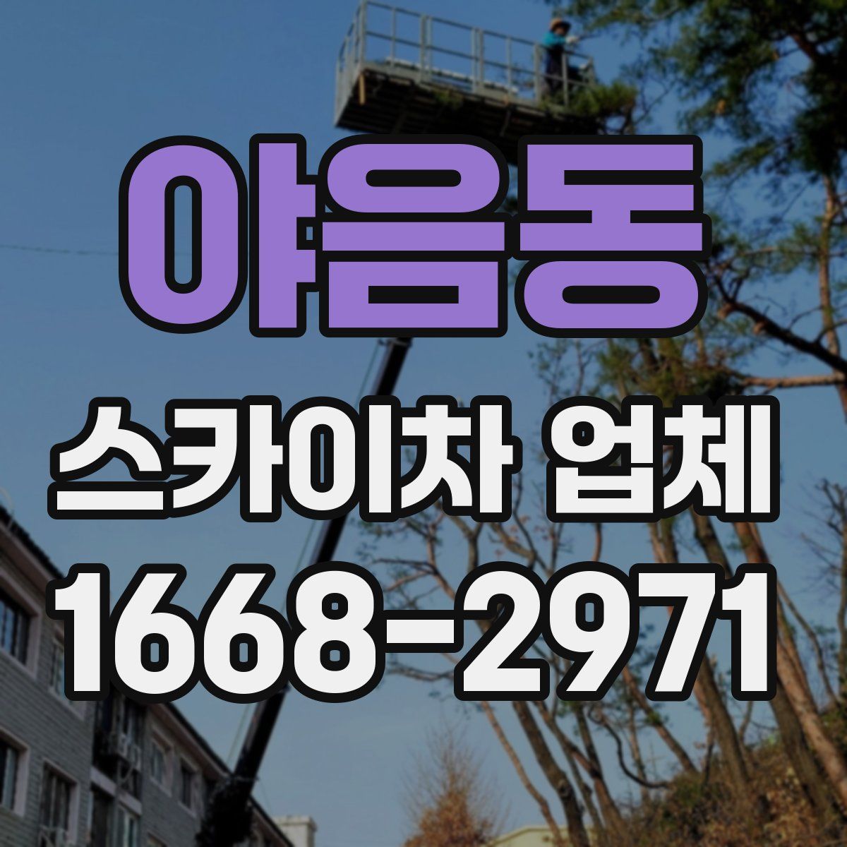 야음동 스카이차 업체