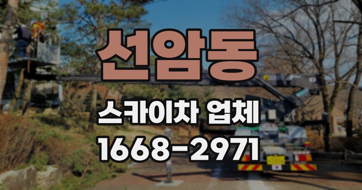 선암동 스카이차 업체