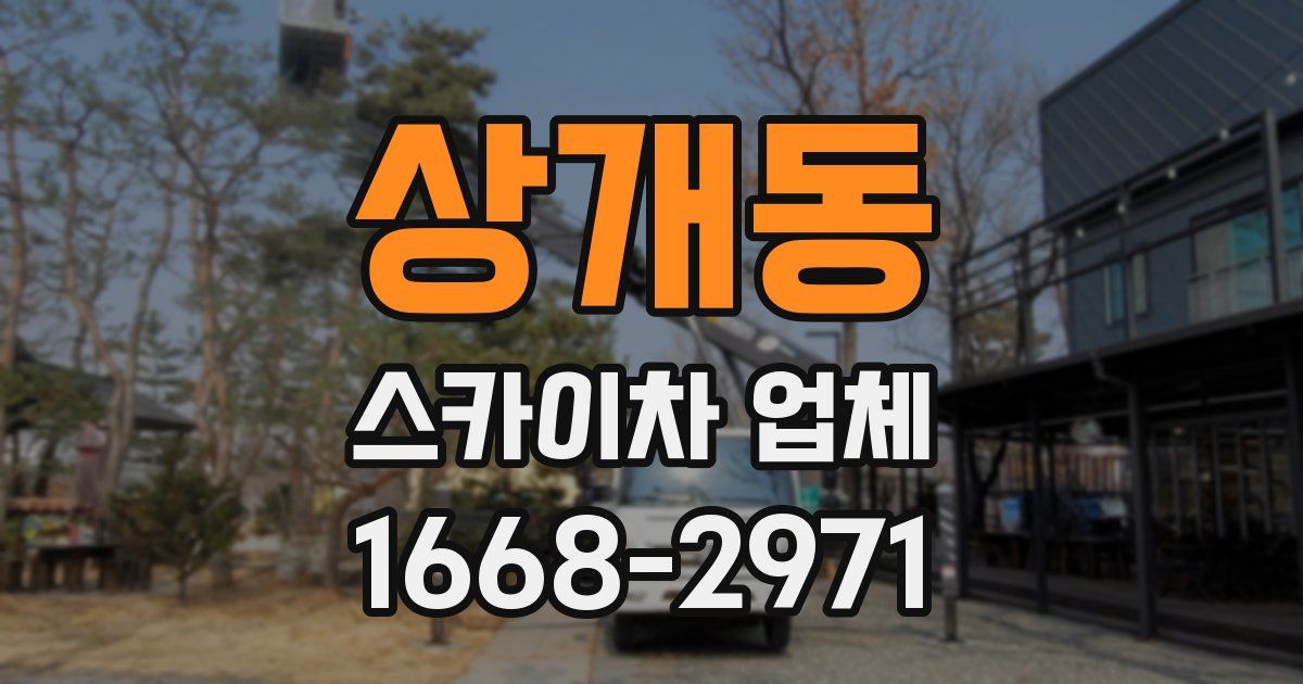 상개동 스카이차 업체