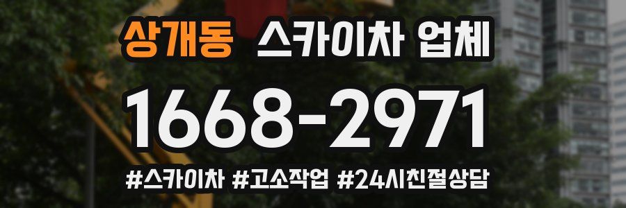 상개동 스카이차 업체