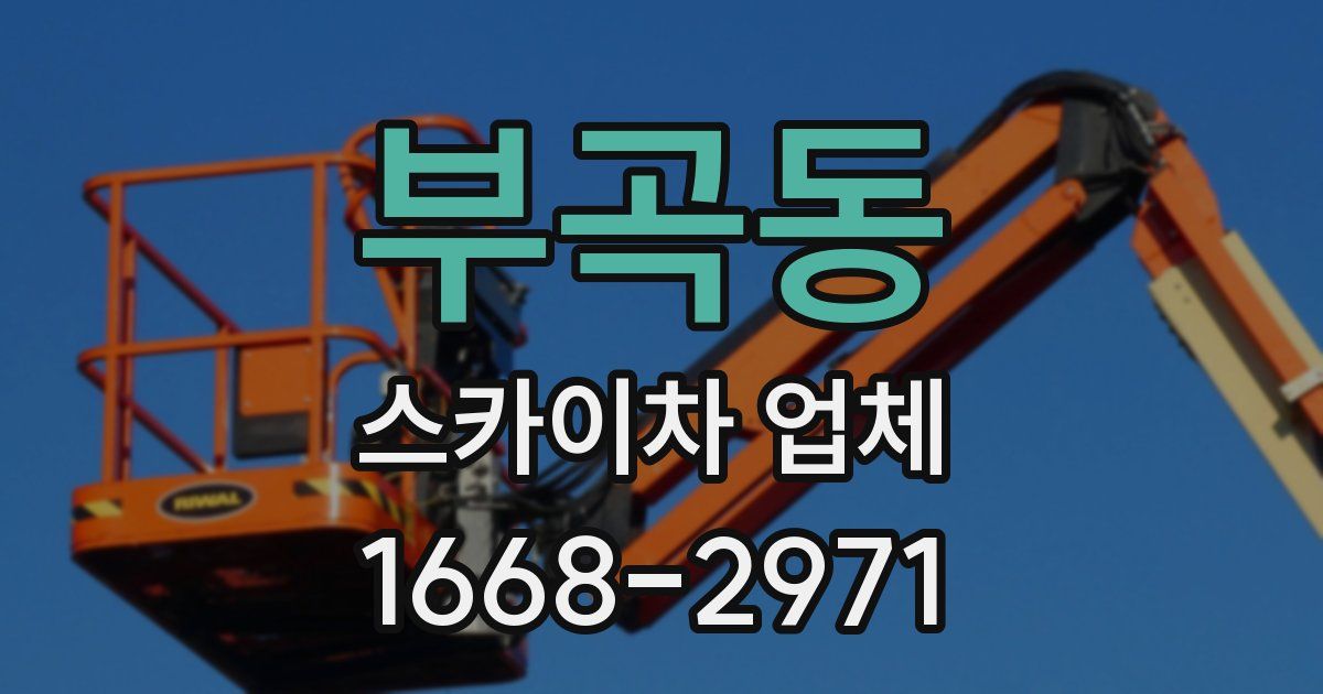부곡동 스카이차 업체