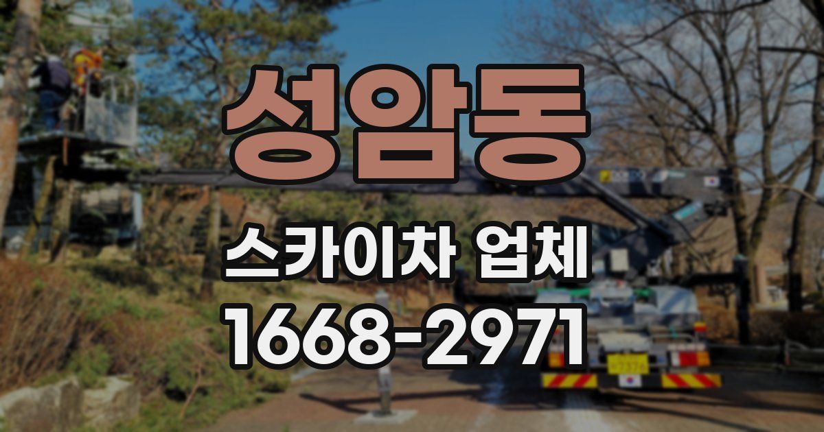성암동 스카이차 업체