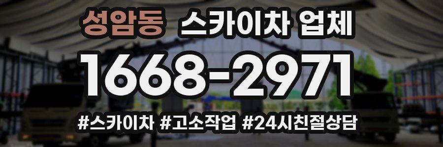 성암동 스카이차 업체