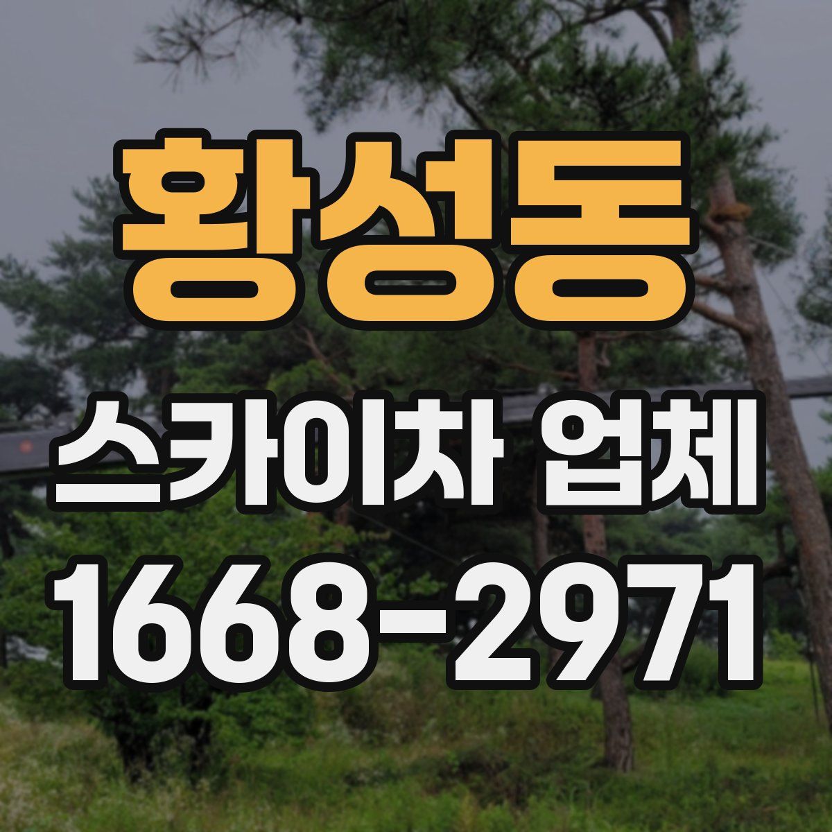 황성동 스카이차 업체