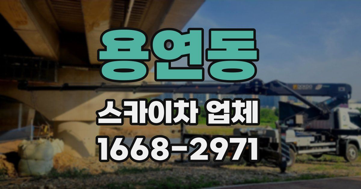 용연동 스카이차 업체