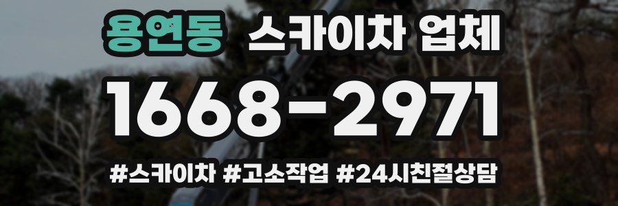 용연동 스카이차 업체