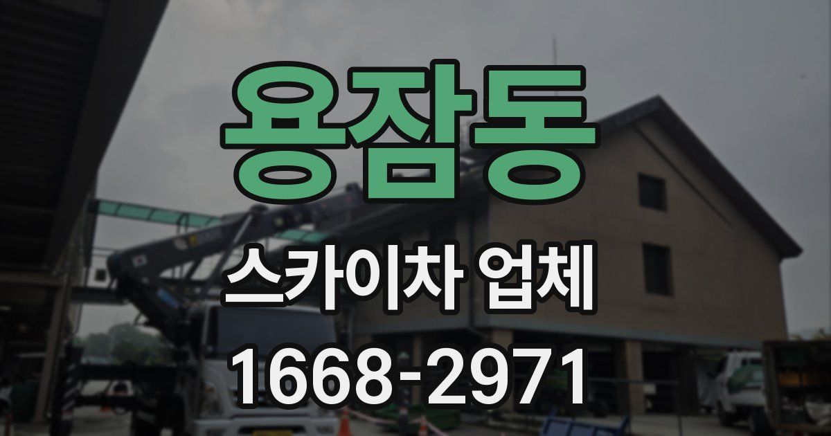 용잠동 스카이차 업체