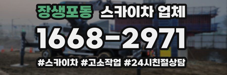 장생포동 스카이차 업체