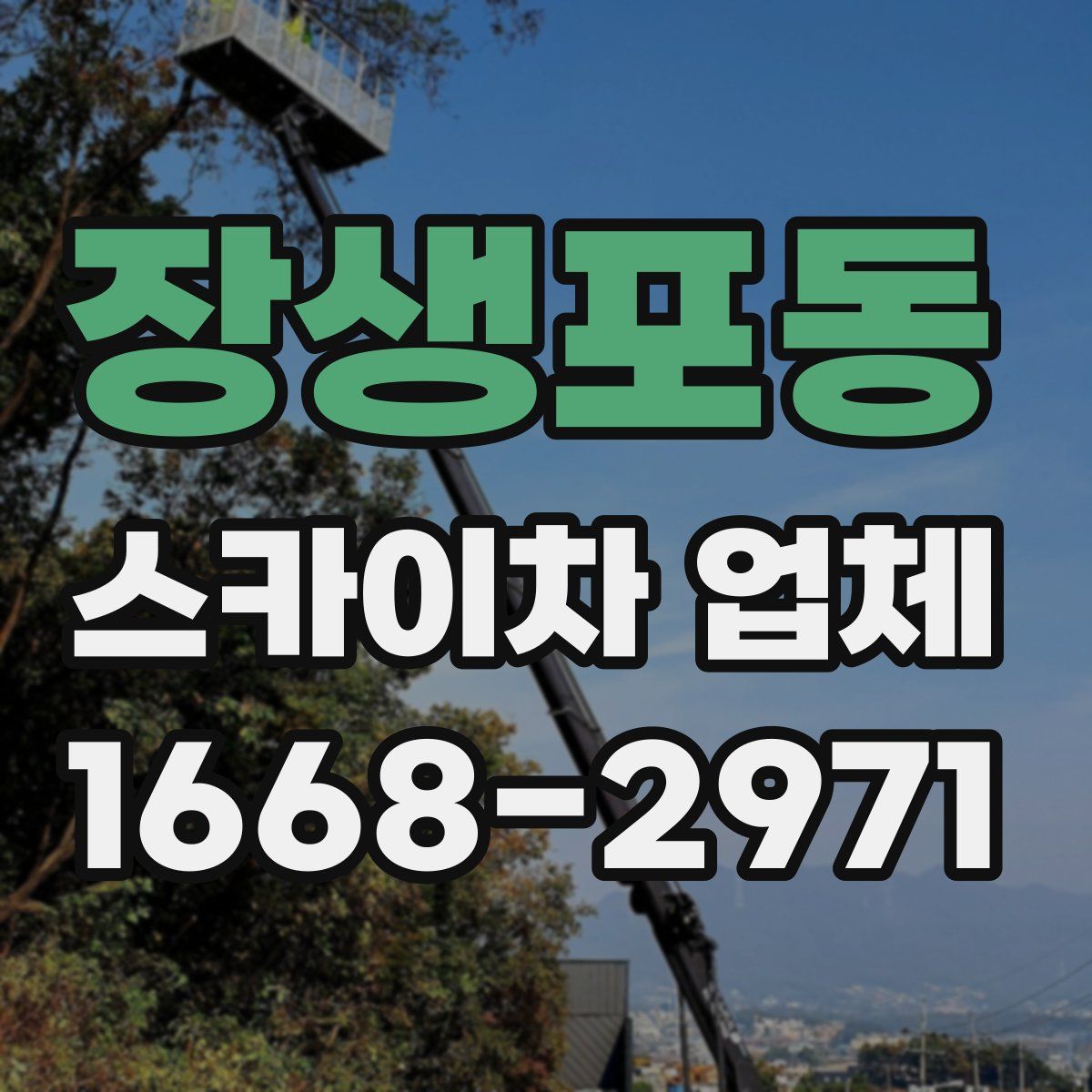장생포동 스카이차 업체