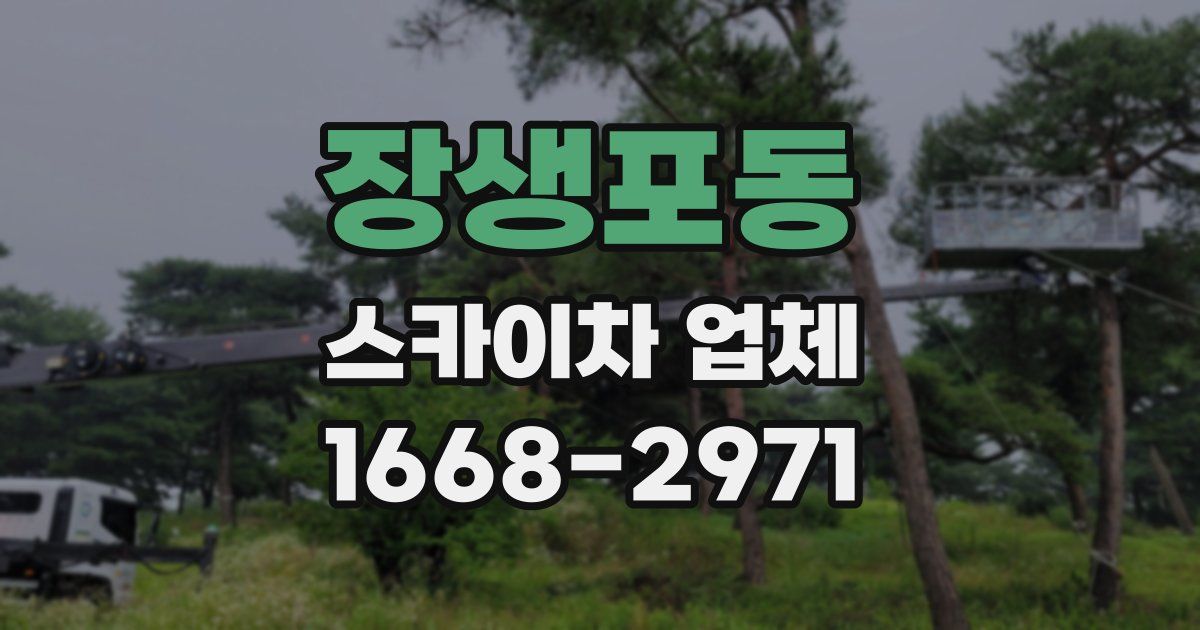 장생포동 스카이차 업체