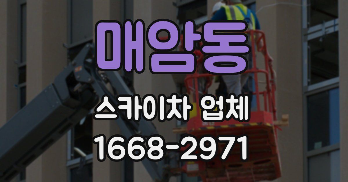 매암동 스카이차 업체