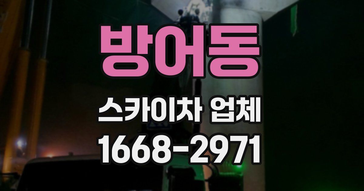 방어동 스카이차 업체