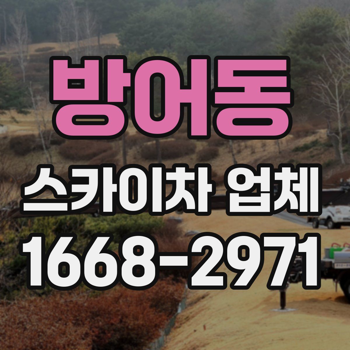 방어동 스카이차 업체