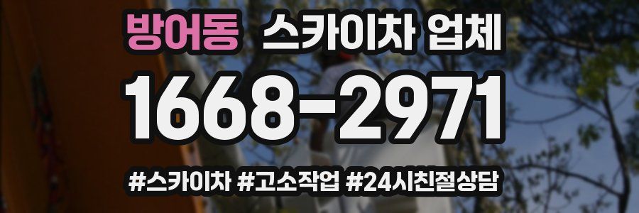 방어동 스카이차 업체