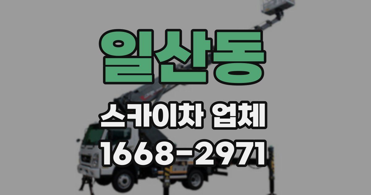 일산동 스카이차 업체