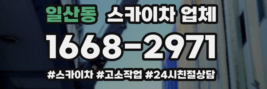 일산동 스카이차 업체