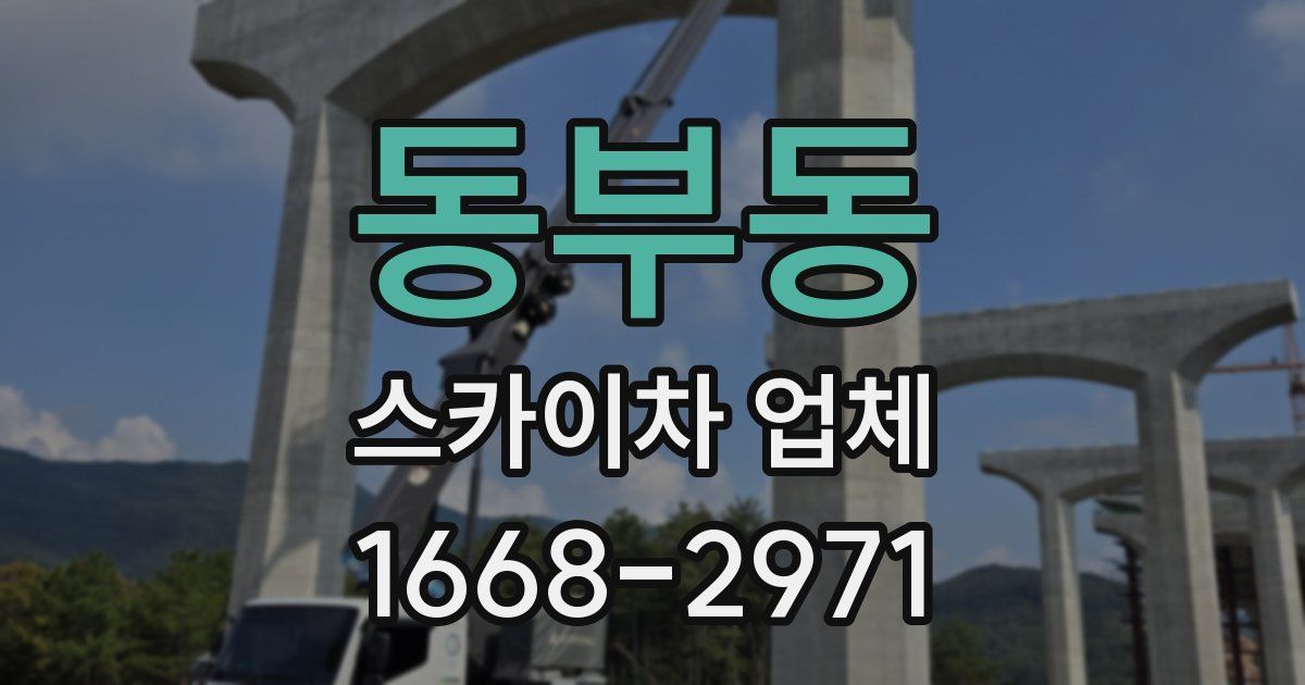 동부동 스카이차 업체
