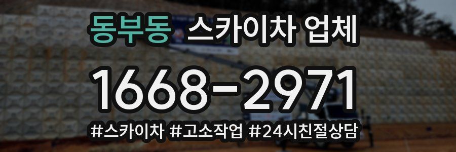 동부동 스카이차 업체