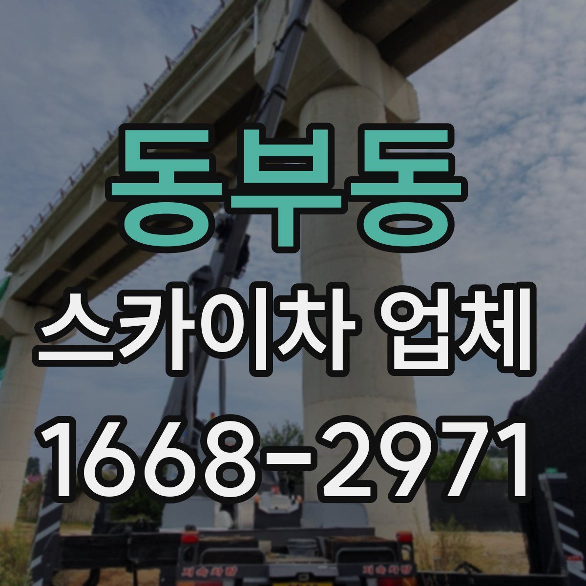 동부동 스카이차 업체