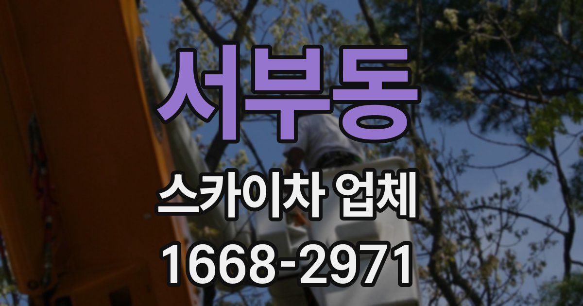서부동 스카이차 업체