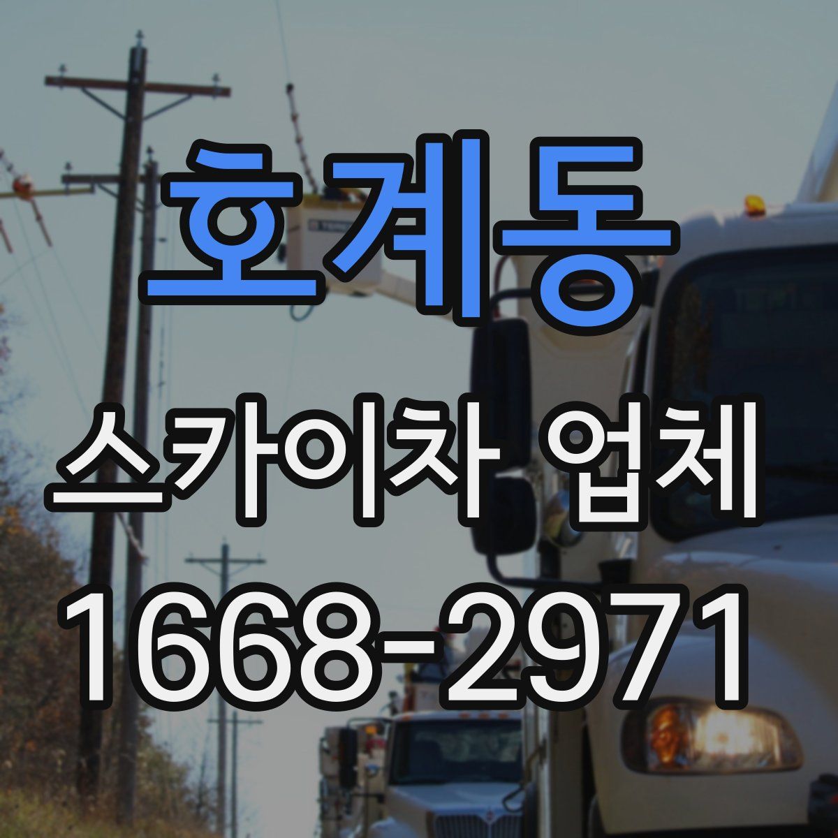 호계동 스카이차 업체