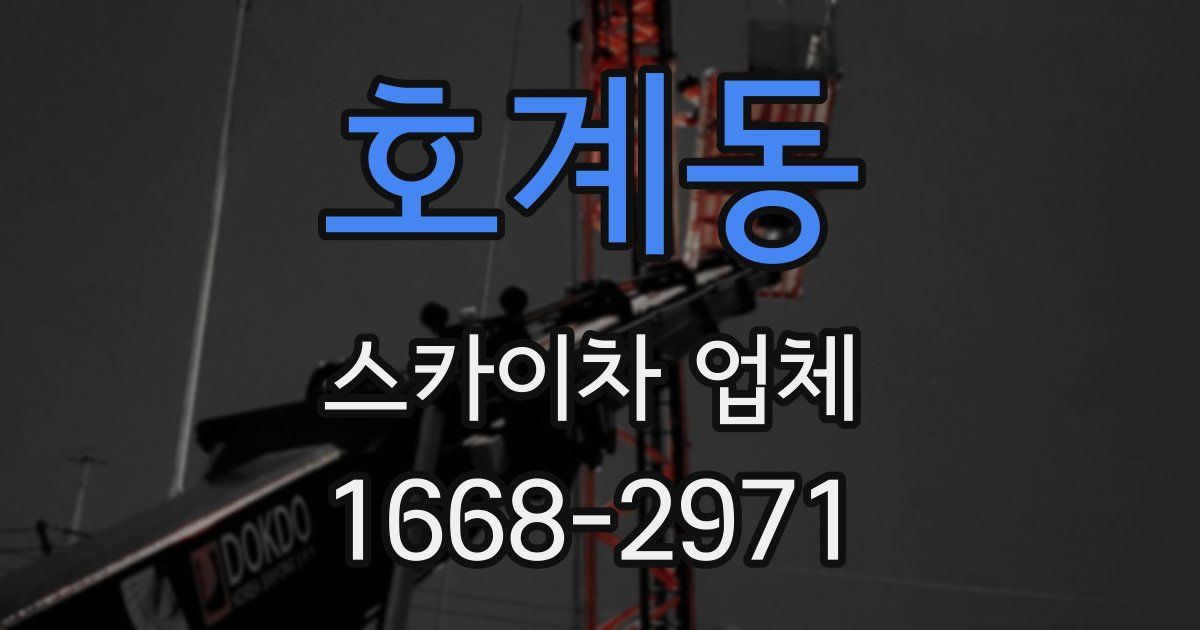 호계동 스카이차 업체
