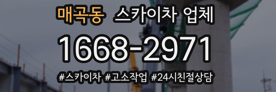 매곡동 스카이차 업체