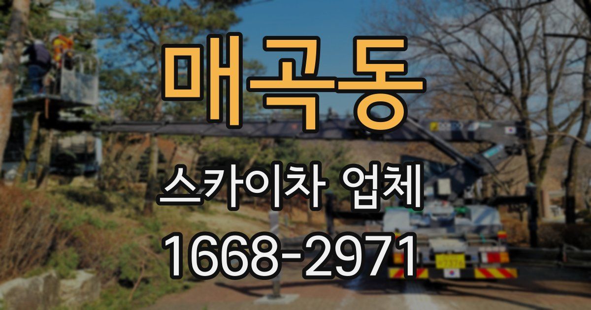 매곡동 스카이차 업체