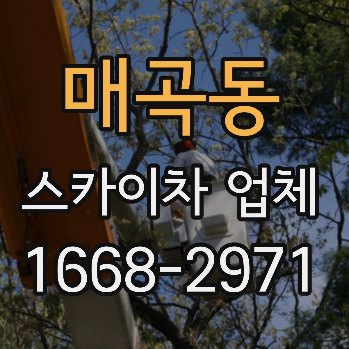 매곡동 스카이차 업체