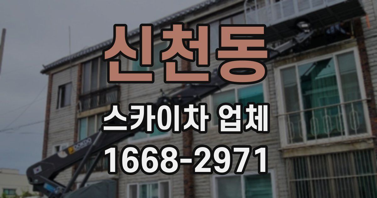 신천동 스카이차 업체