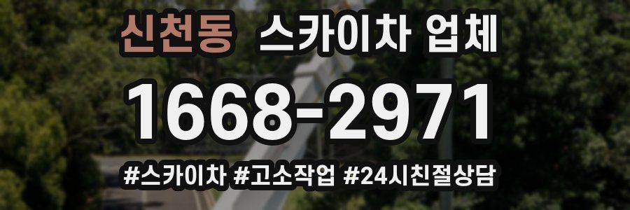 신천동 스카이차 업체