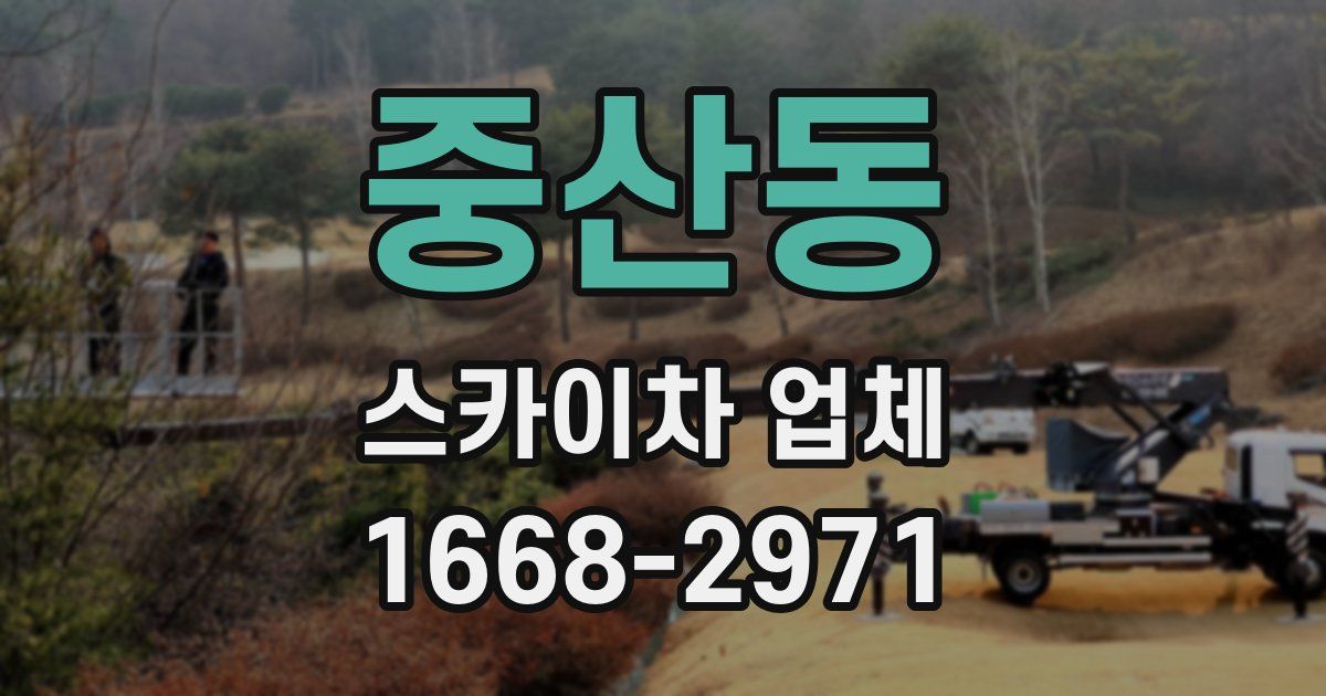 중산동 스카이차 업체
