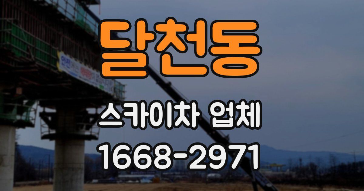 달천동 스카이차 업체
