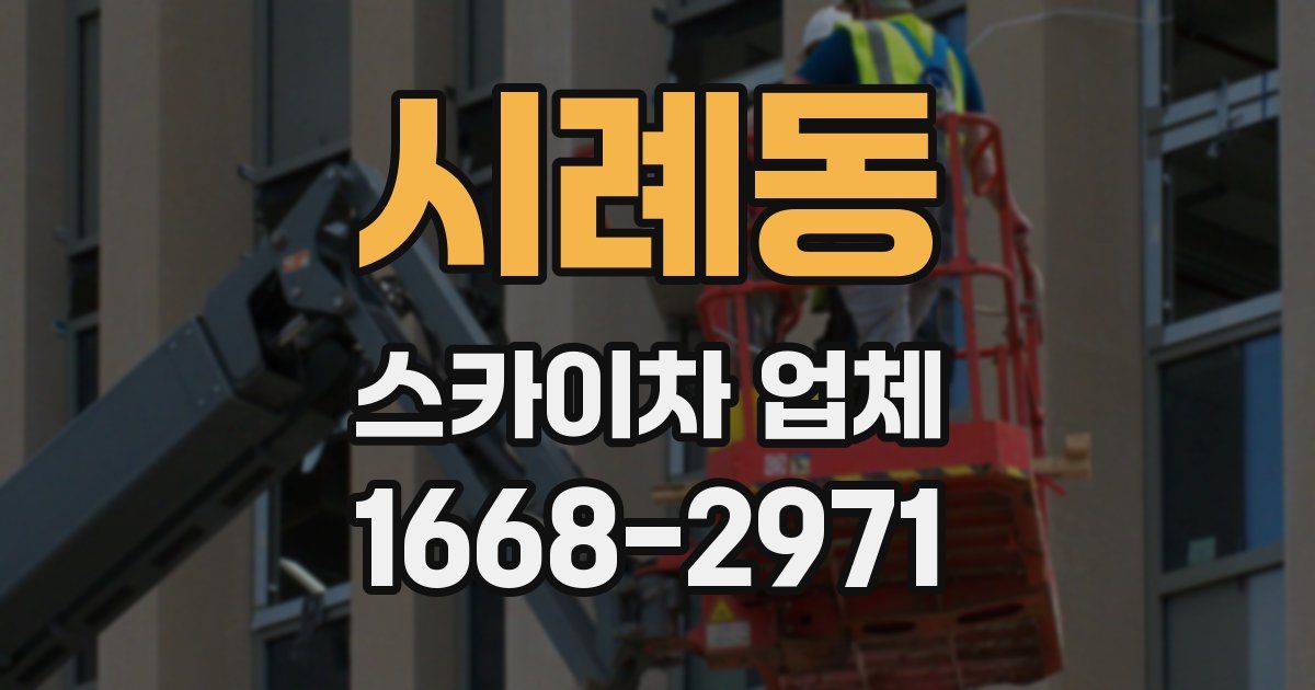 시례동 스카이차 업체