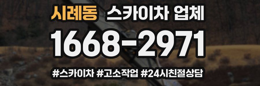 시례동 스카이차 업체
