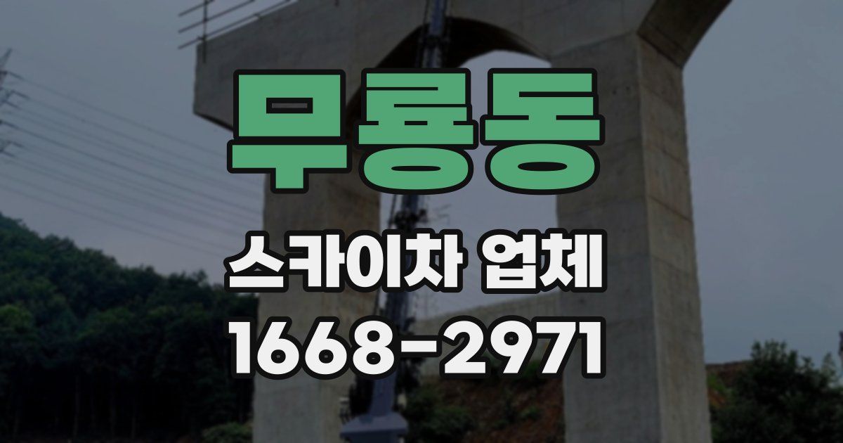 무룡동 스카이차 업체