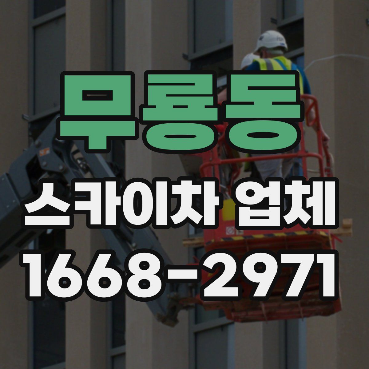 무룡동 스카이차 업체