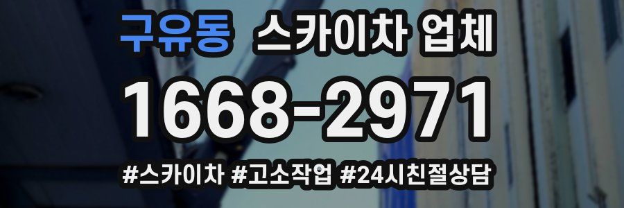 구유동 스카이차 업체