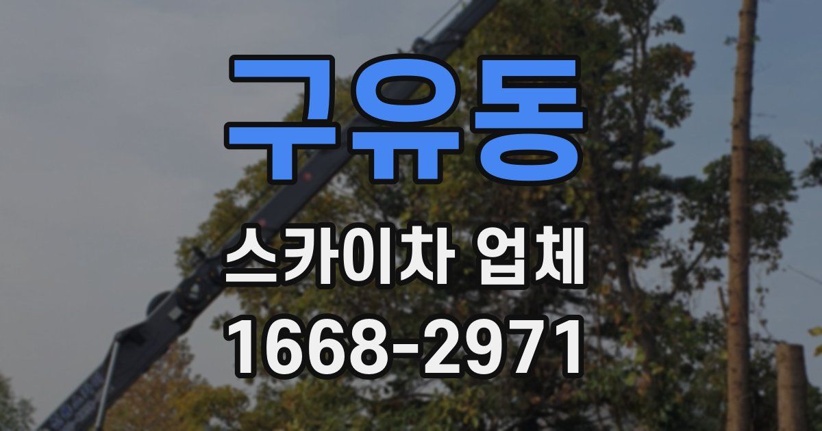 구유동 스카이차 업체
