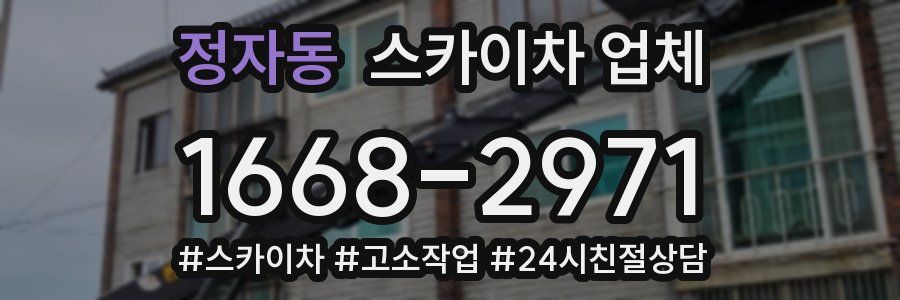 정자동 스카이차 업체