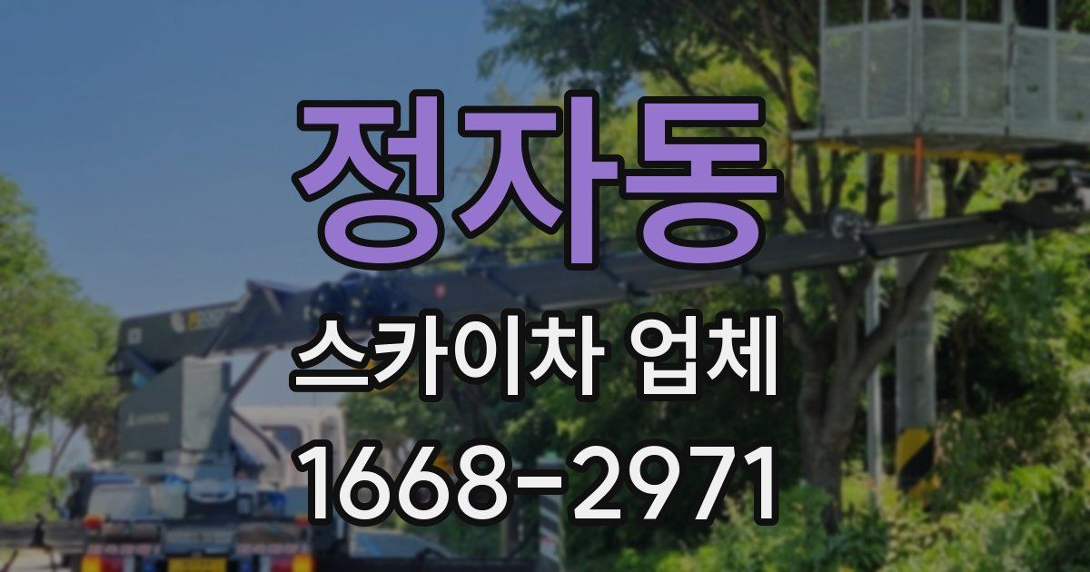 정자동 스카이차 업체