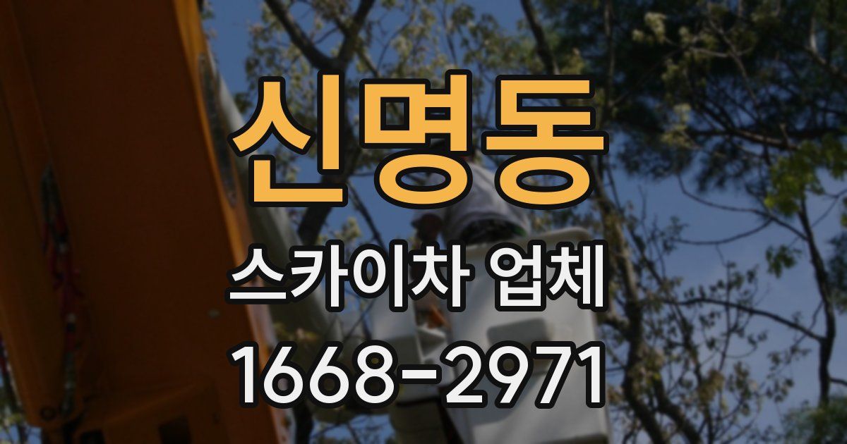 신명동 스카이차 업체