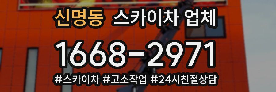 신명동 스카이차 업체