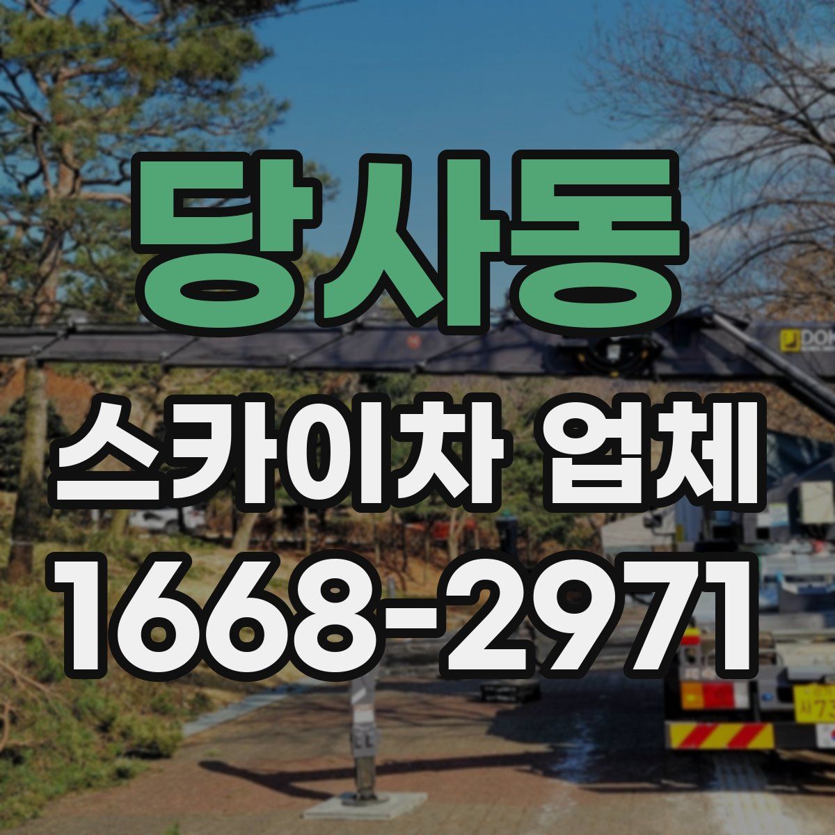 당사동 스카이차 업체
