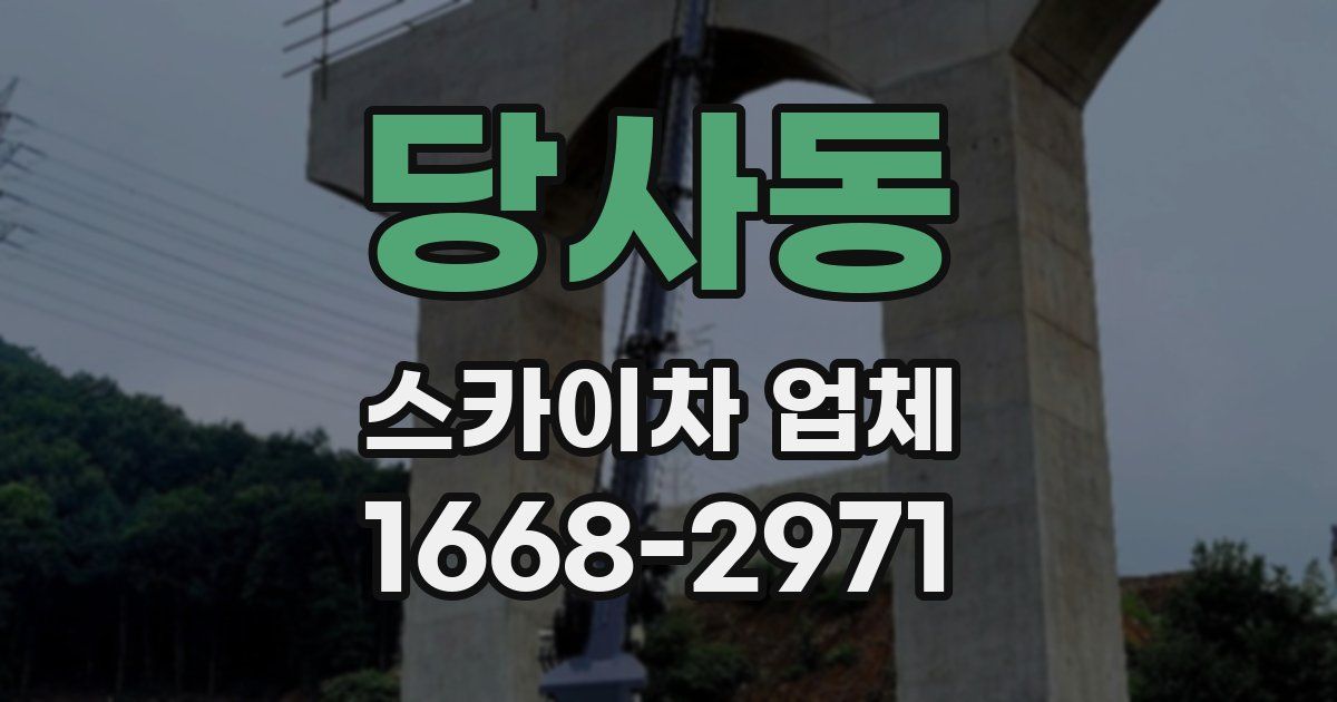 당사동 스카이차 업체