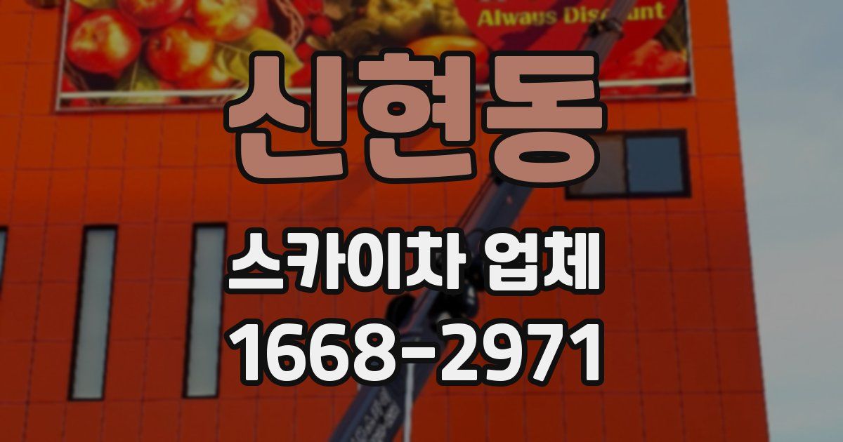 신현동 스카이차 업체