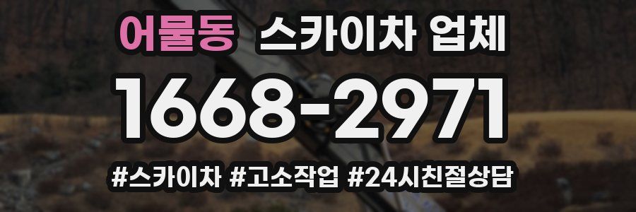 어물동 스카이차 업체