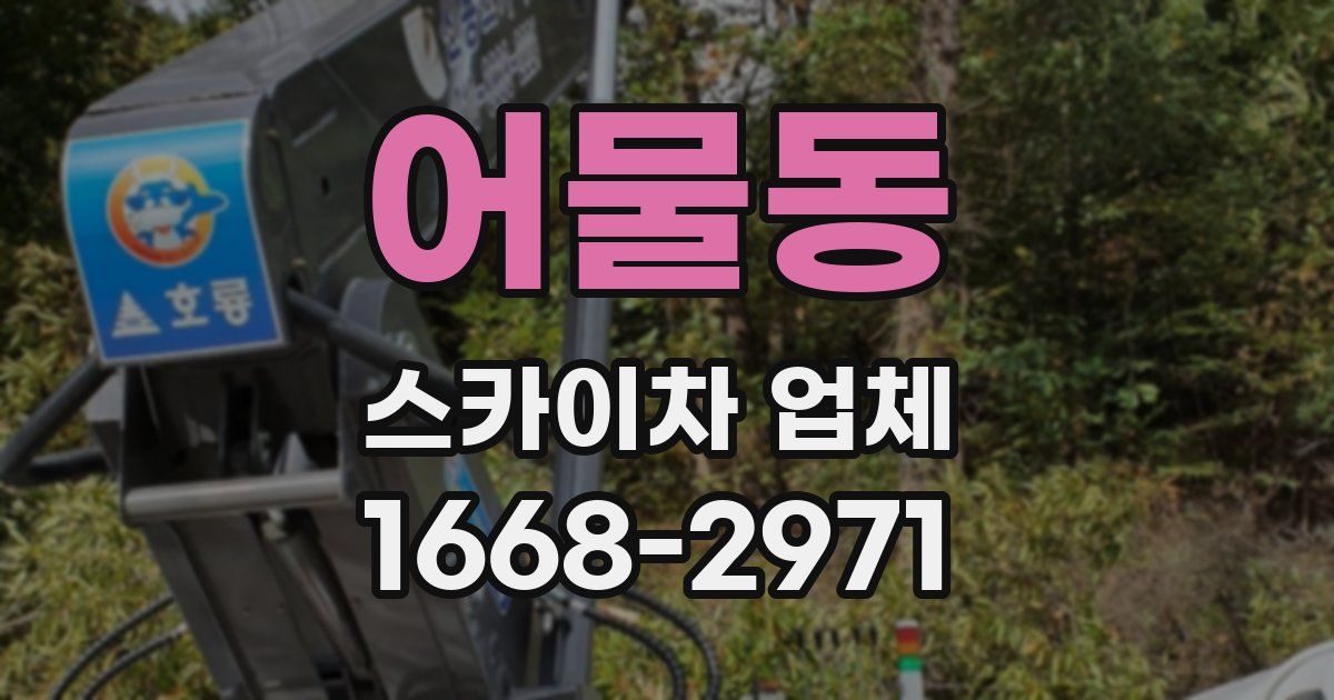 어물동 스카이차 업체